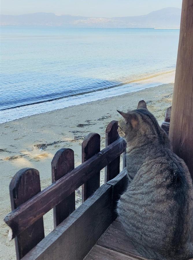 Peraía Niko'S Apartment - Beautiful Sea View Apartment ! מראה חיצוני תמונה